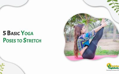5 Basic Yoga Poses to Stretch